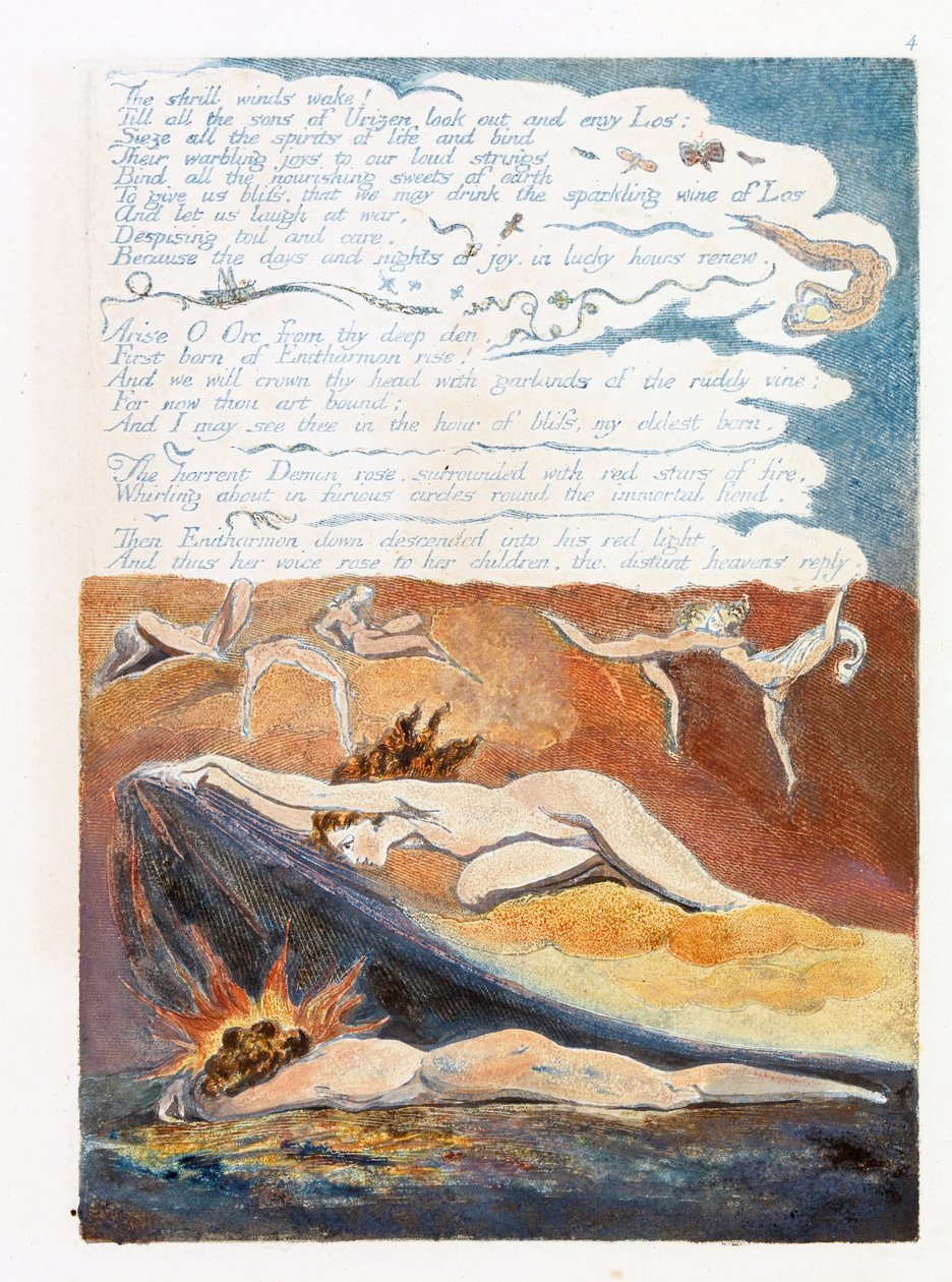 Illustrazione da 