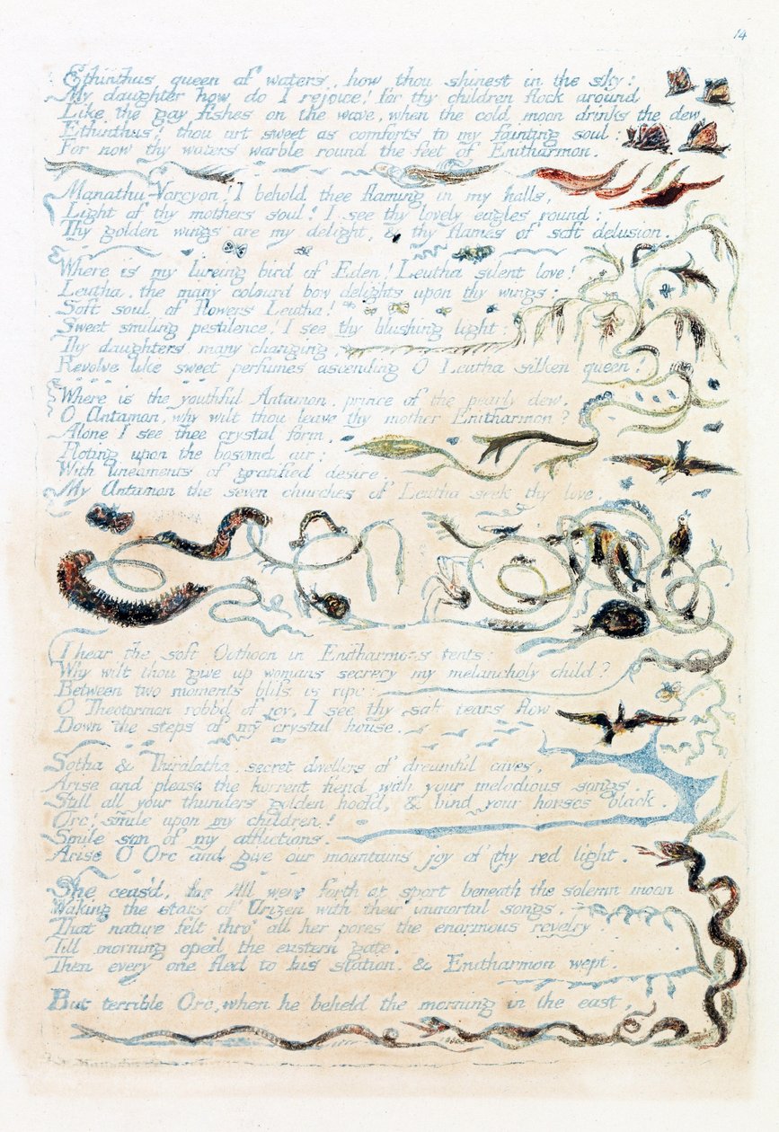Illustrazione da 
