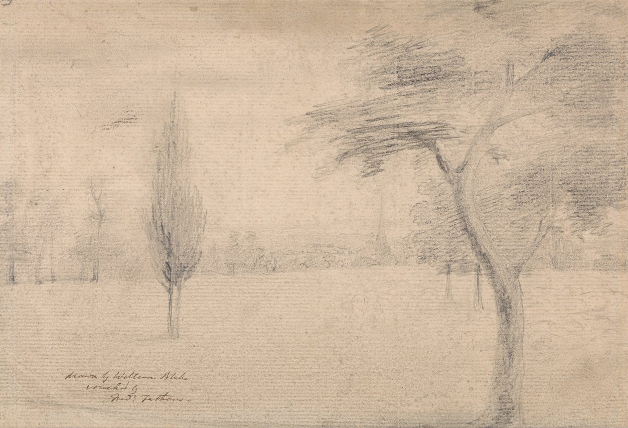 Paesaggio con guglia da William Blake