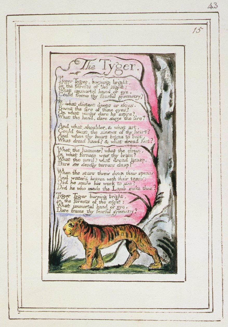 La Tigre: tavola 43 da 