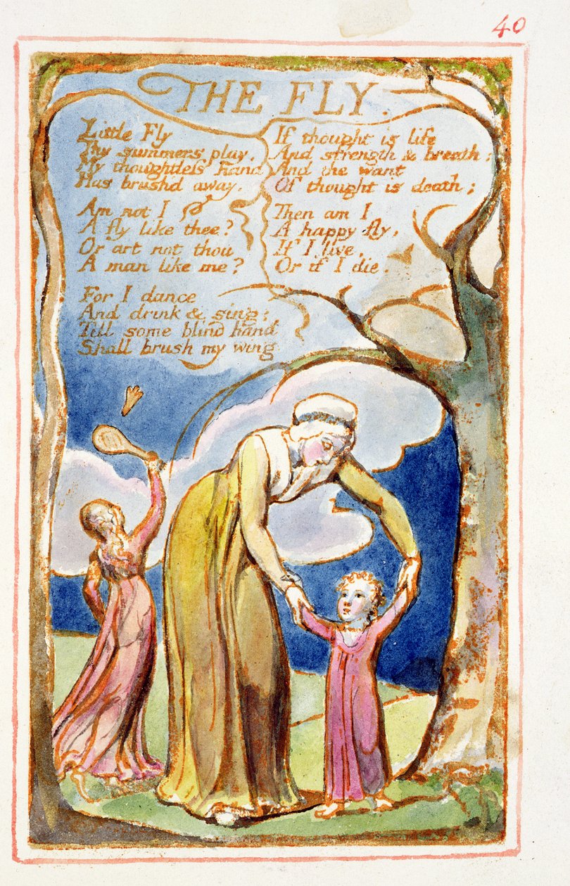 La mosca: tavola 40 da Songs of Innocence and of Experience (copia AA) c.1815-26 da William Blake