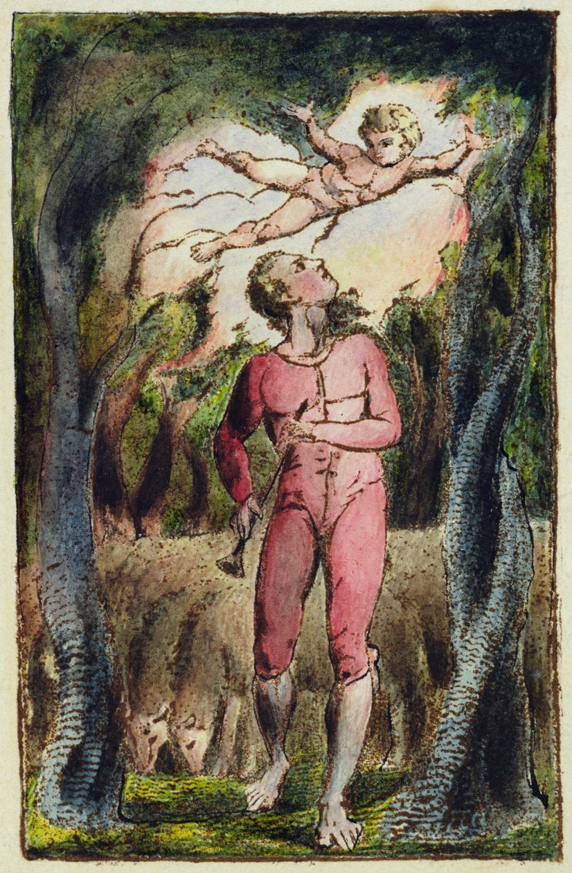 Tavola 1 da 