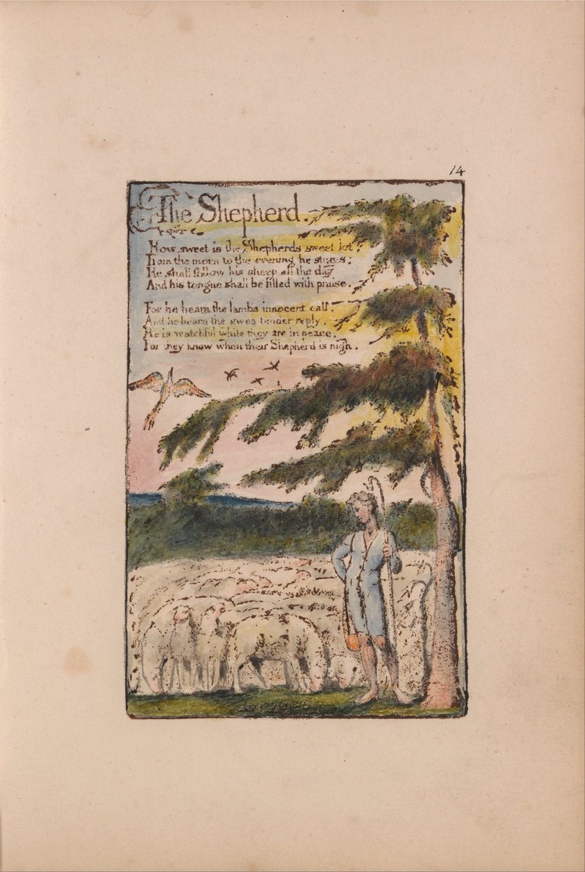 Canzoni dell