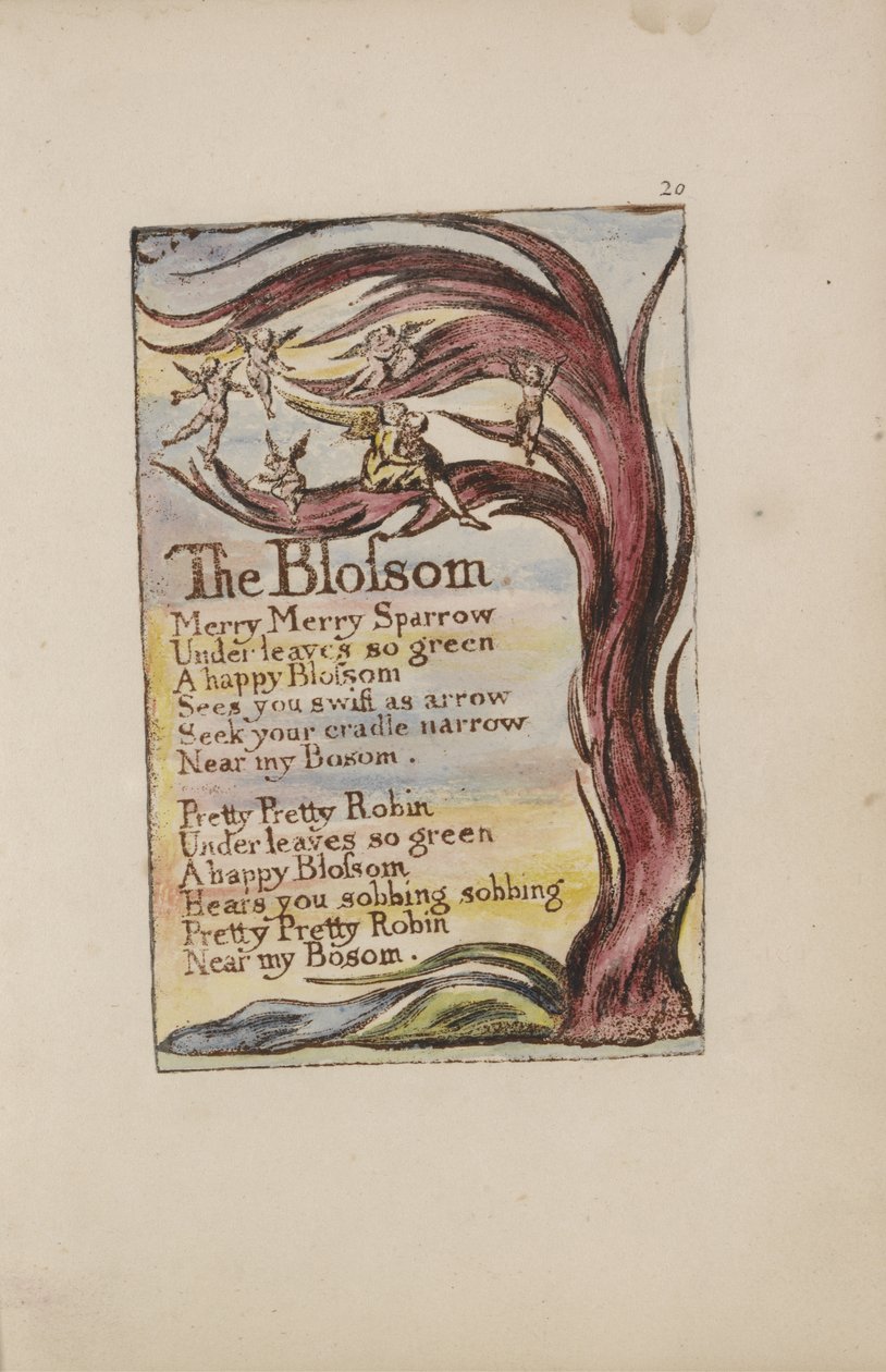 The Blossom, tavola 28 da Songs of Innocence, 1789 da William Blake