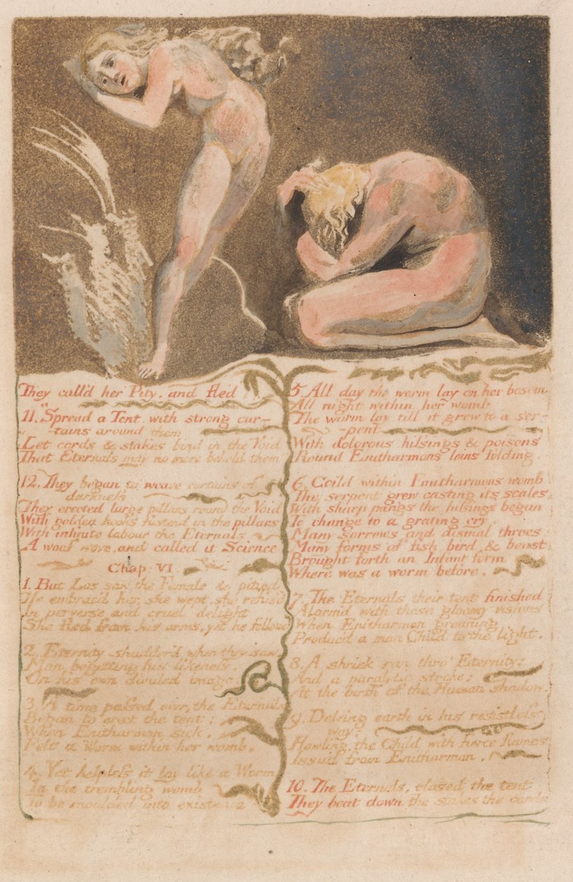 Il Primo Libro di Urizen, Tavola 19, La Chiamavano Pietà e Fuggirono.... (Bentley 19) da William Blake