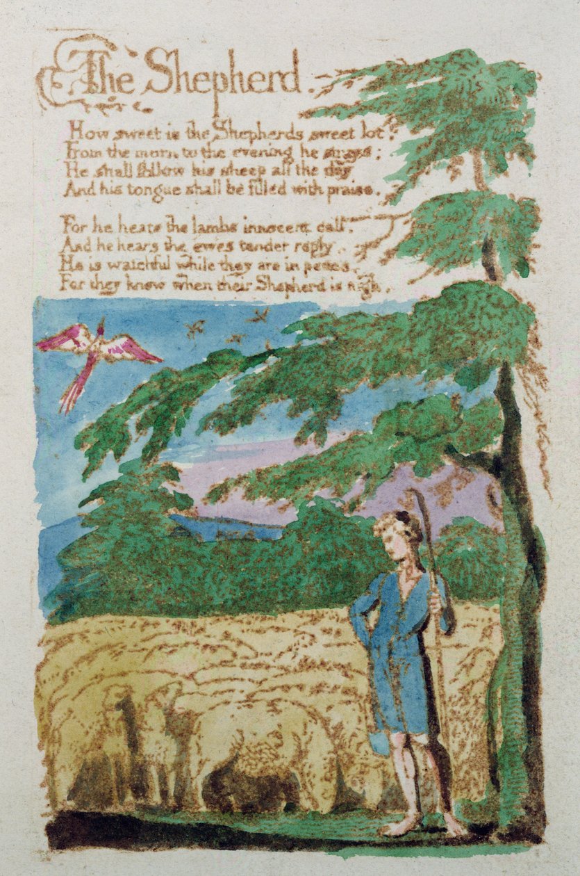 Il pastore, da Songs of Innocence, 1789 da William Blake