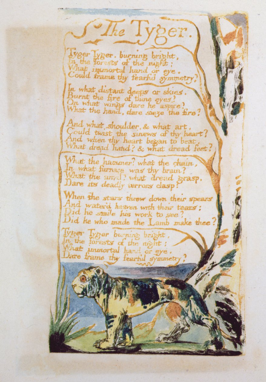 La Tigre, da Songs of Innocence da William Blake