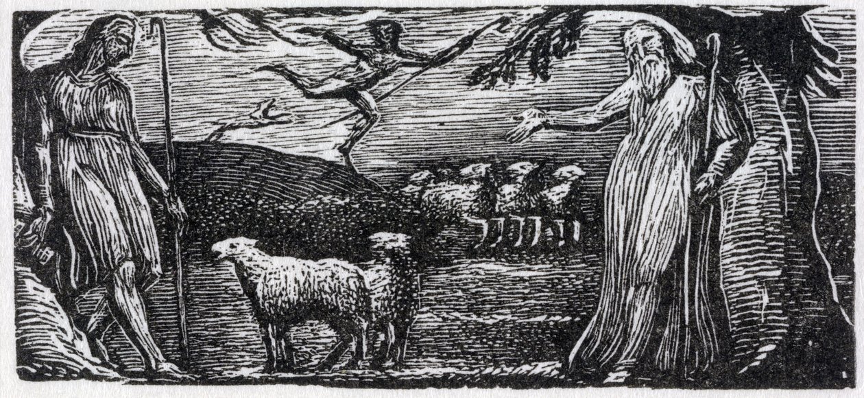 Thenot rimprovera Colinet, Lightfoot in lontananza, illustrazione da 