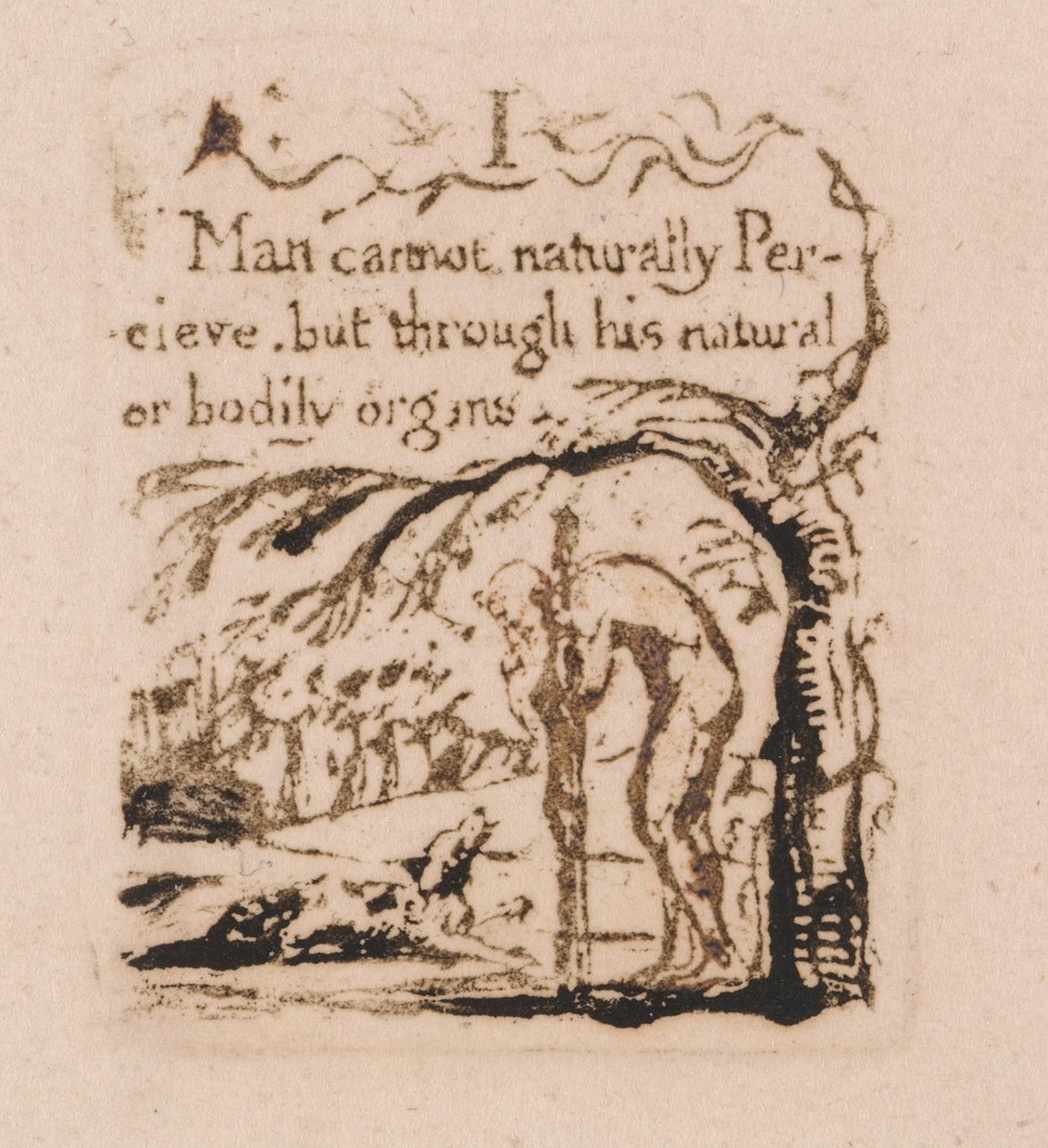 Non Esiste Religione Naturale, Tavola 3, L