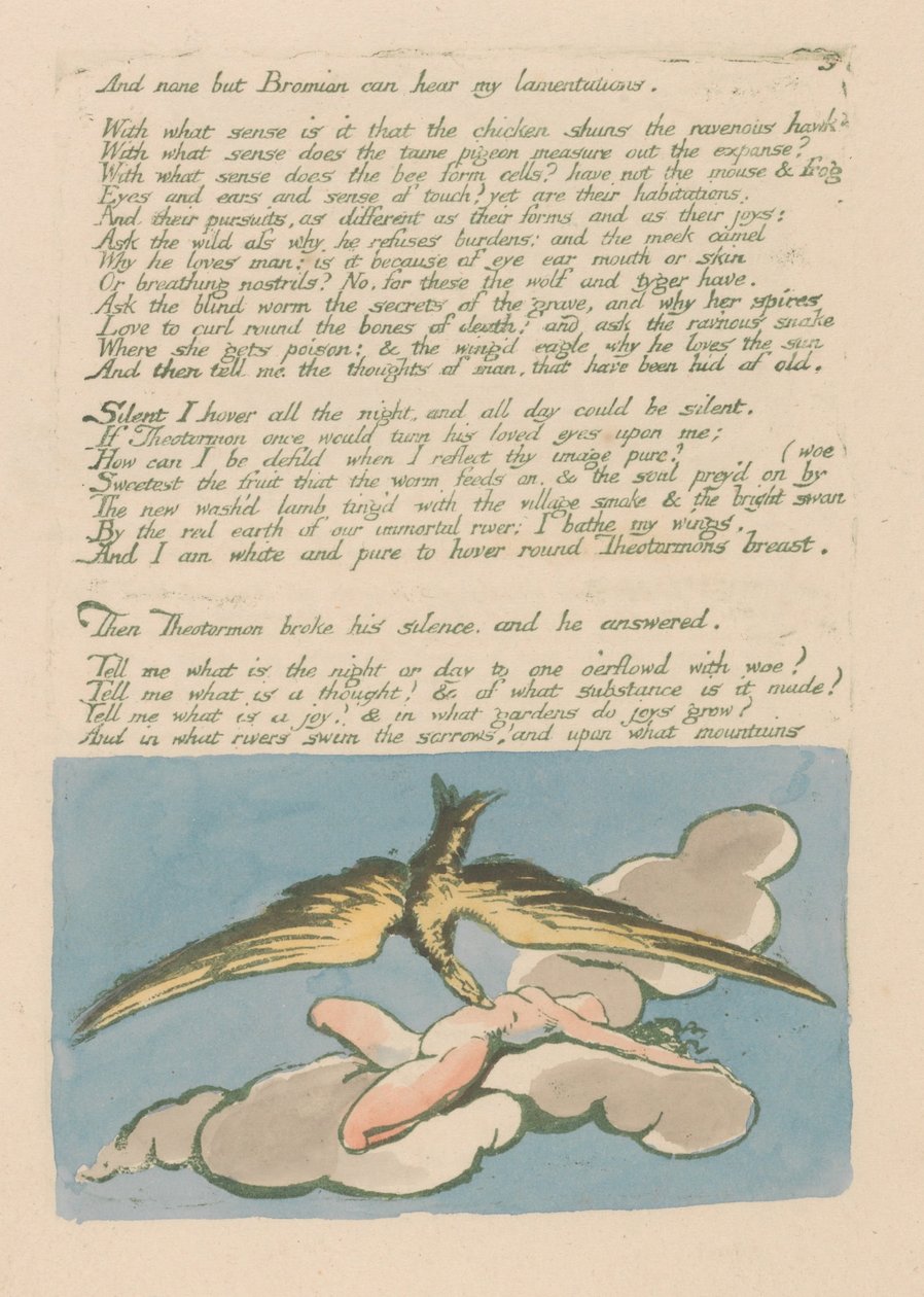 Visioni delle Figlie di Albion, Tavola 6, E nessuno tranne Bromian... da William Blake