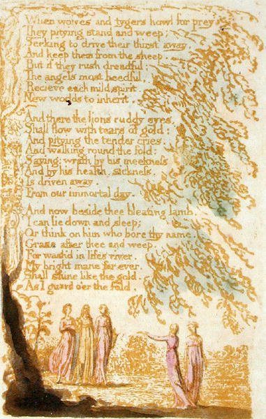 Quando lupi e tigri ululano..., tavola 17 da Songs of Innocence, 1789 da William Blake