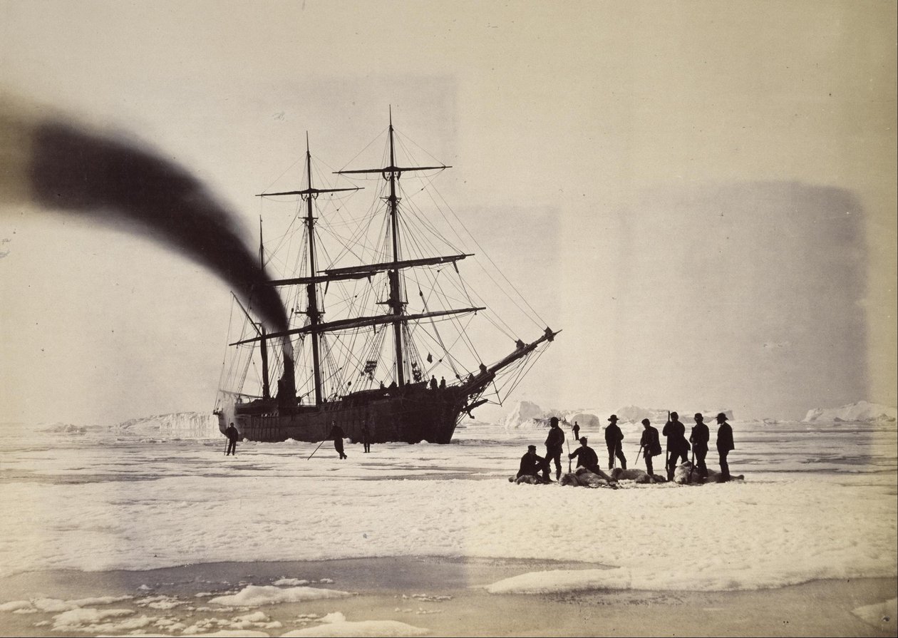 Caccia a vapore nella baia di Melville da William Bradford