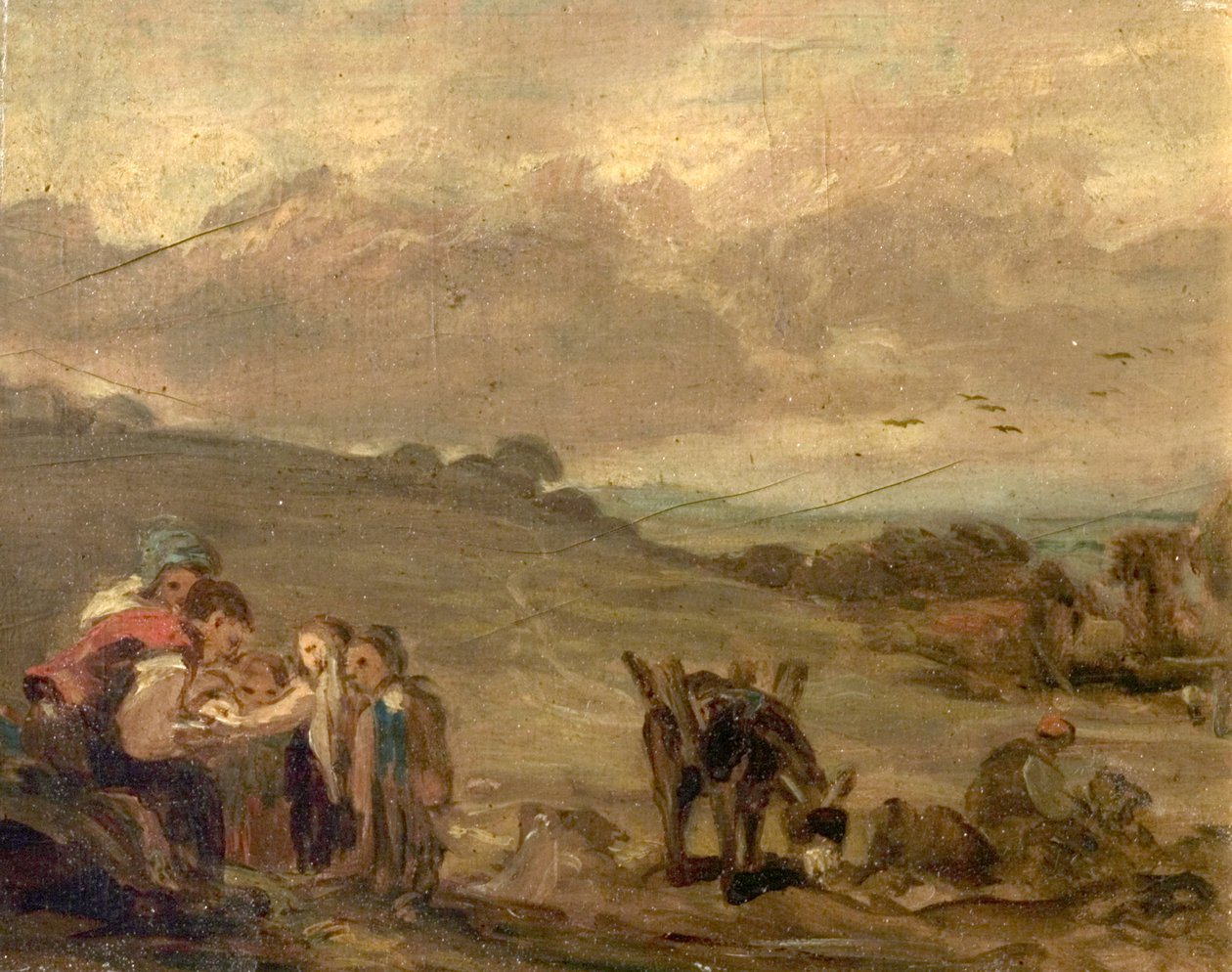Rimozione della Spina da William Collins