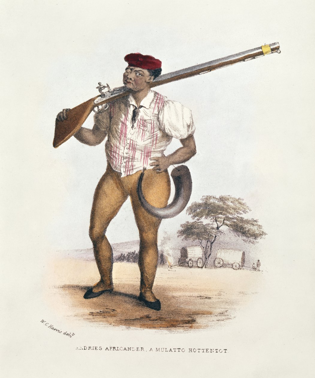 Andries Africander, un mulatto ottentotto, illustrazione da Wild Sports of South Africa, di W.C. Harris da William Cornwallis Harris