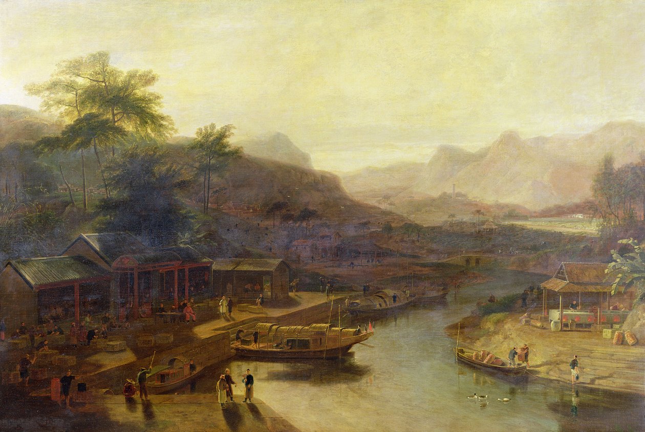Veduta in Cina: Coltivazione della pianta del tè, c.1810 da William Daniell