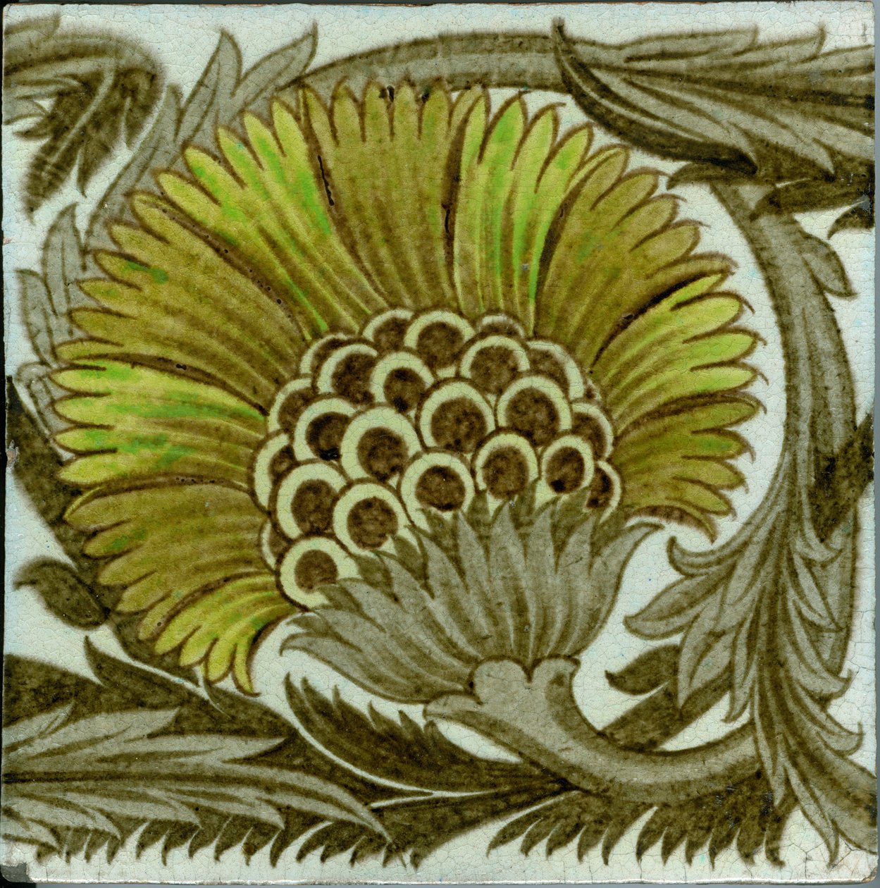 Piastrella 