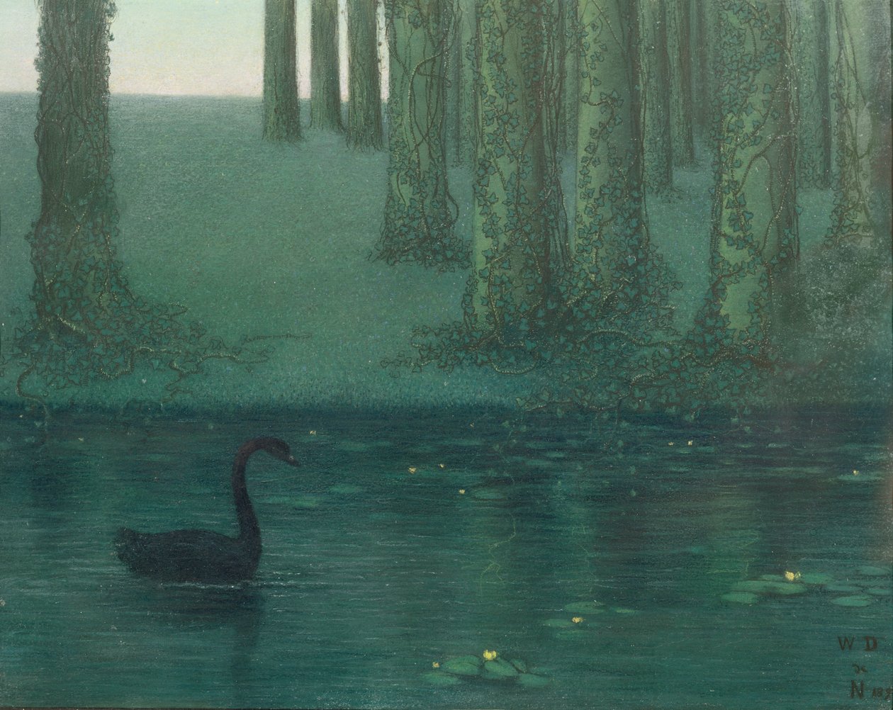 Il Cigno Nero, 1896 da William Degouve de Nuncques