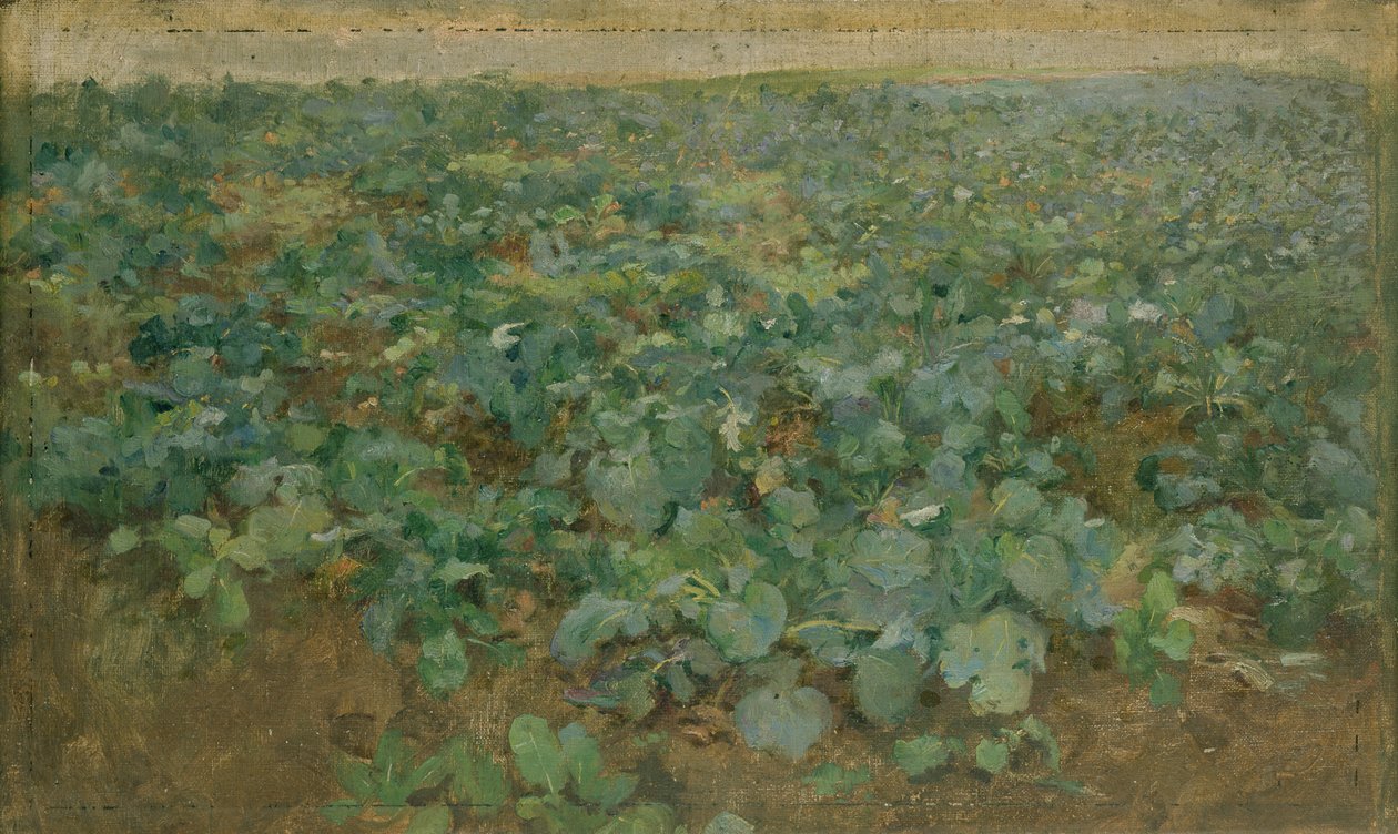 Il campo di rape da William Edward Stott