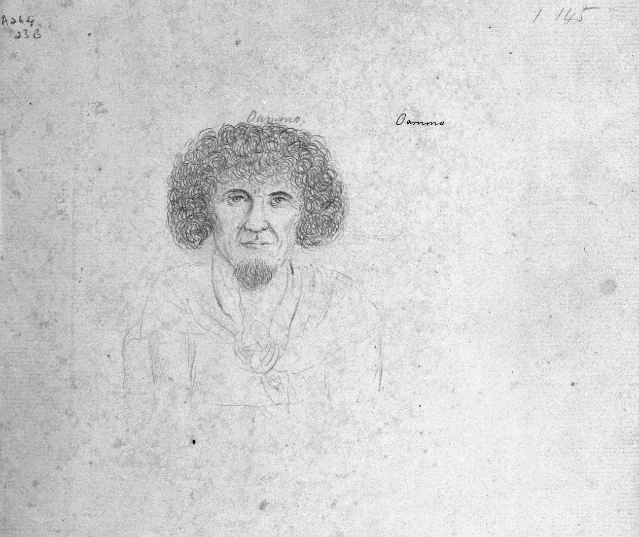 Oammo da William Ellis
