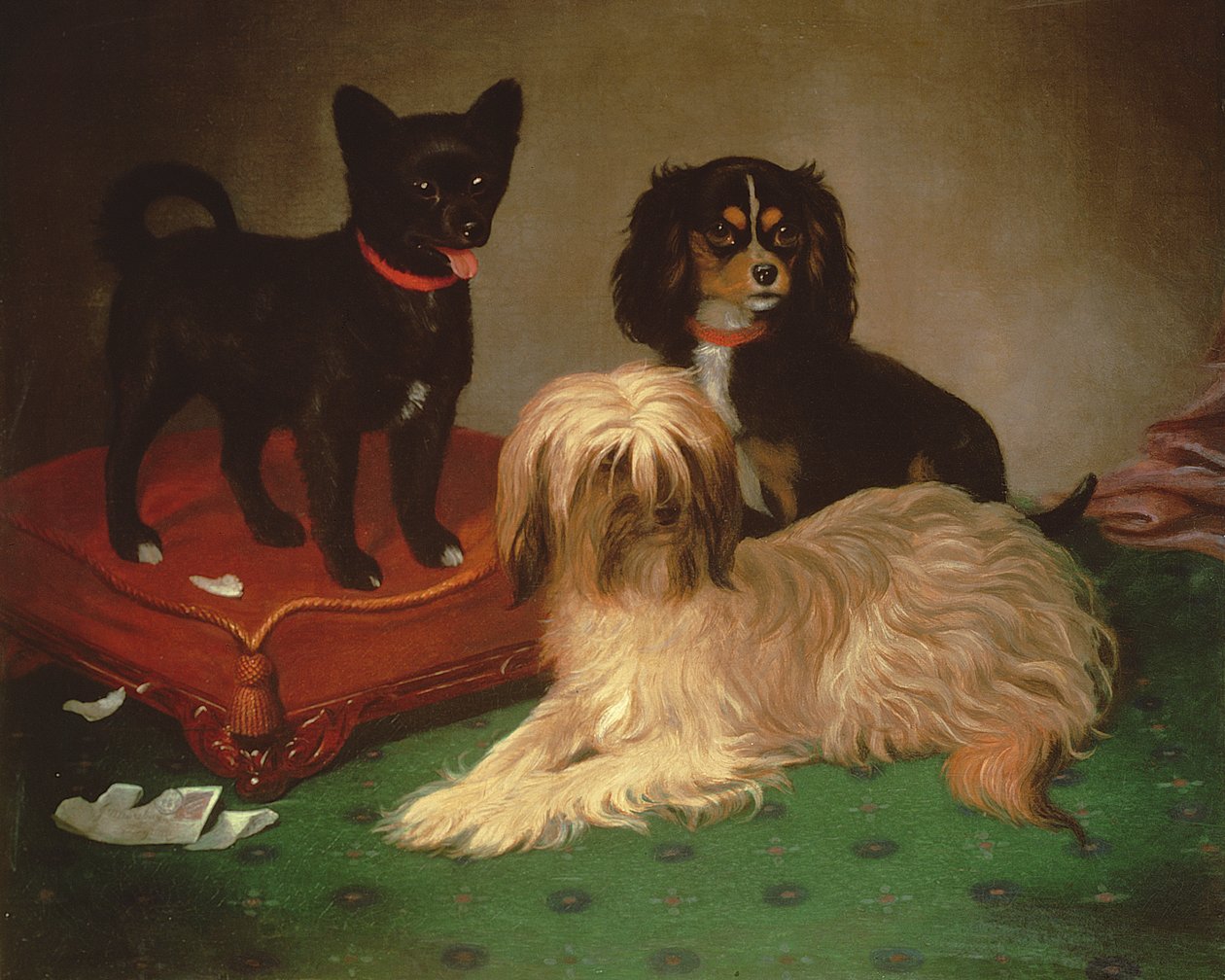 Tre Cani da William Elsob Marshall