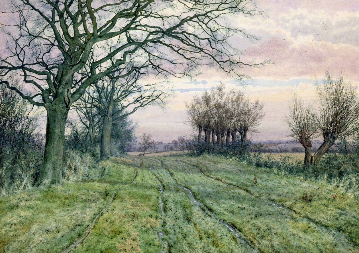 Una strada di Fenland con salici potati, 1887 da William Fraser Garden