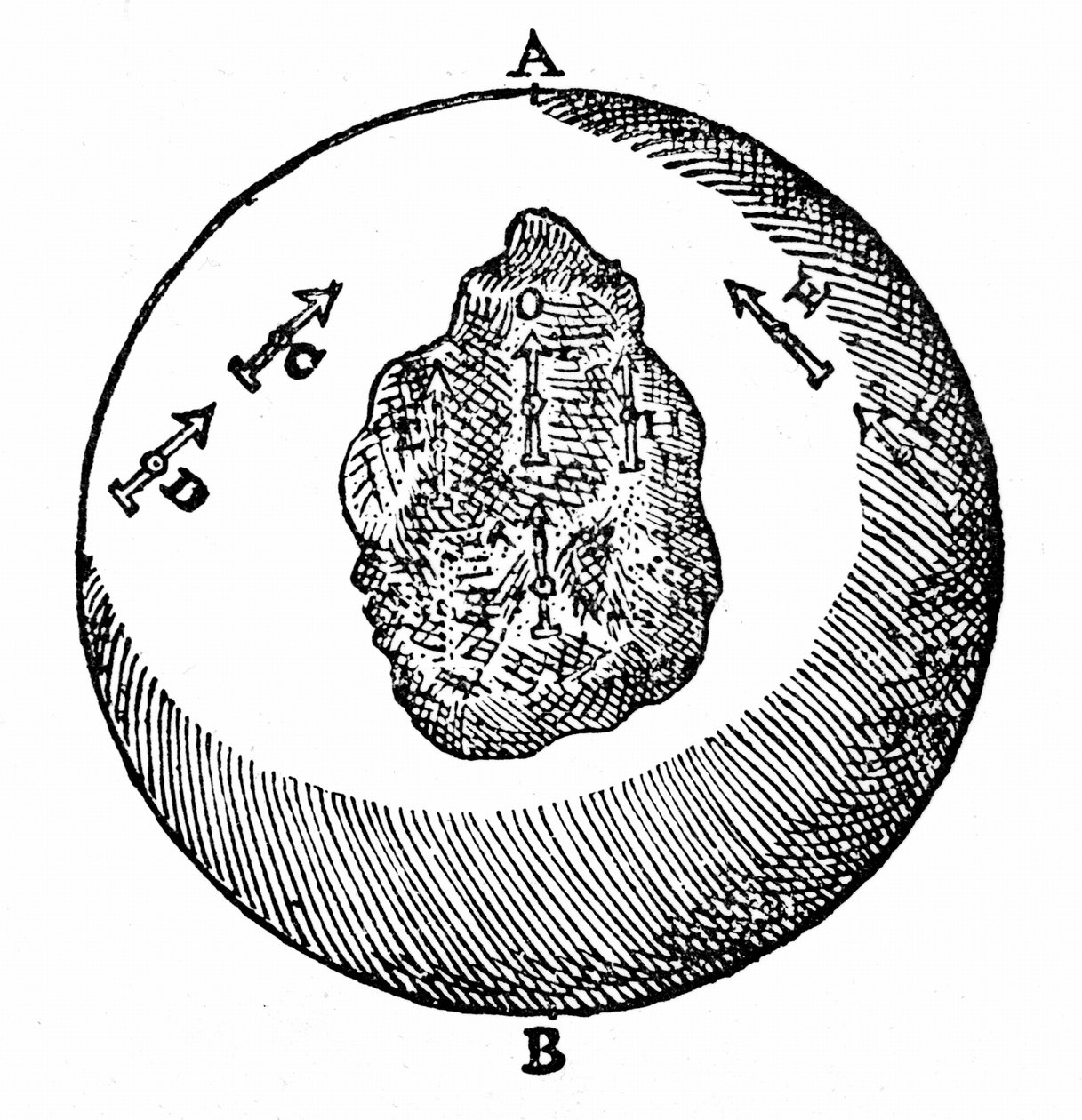 Gli aghi magnetici su una terrella punteranno verso il polo nord, altri aghi faranno lo stesso, anche se la superficie della terrella è irregolare, come a O. Da William Gilbert De Magnete, Londra da William Gilbert