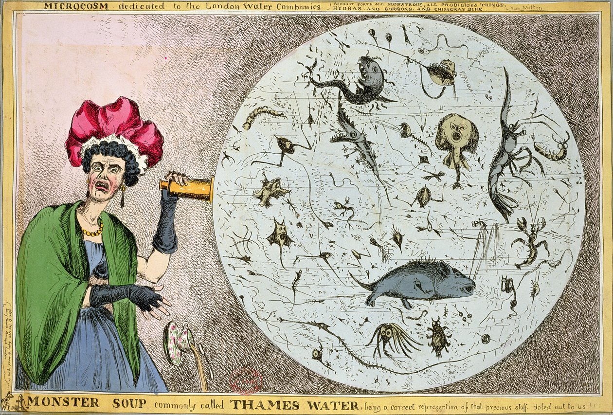 Microcosmo dedicato alle Compagnie Idriche di Londra: Zuppa mostruosa comunemente chiamata Acqua del Tamigi, rappresentazione corretta di quella preziosa sostanza distribuita a noi!!!, inciso e pubblicato nel 1828 da William Heath