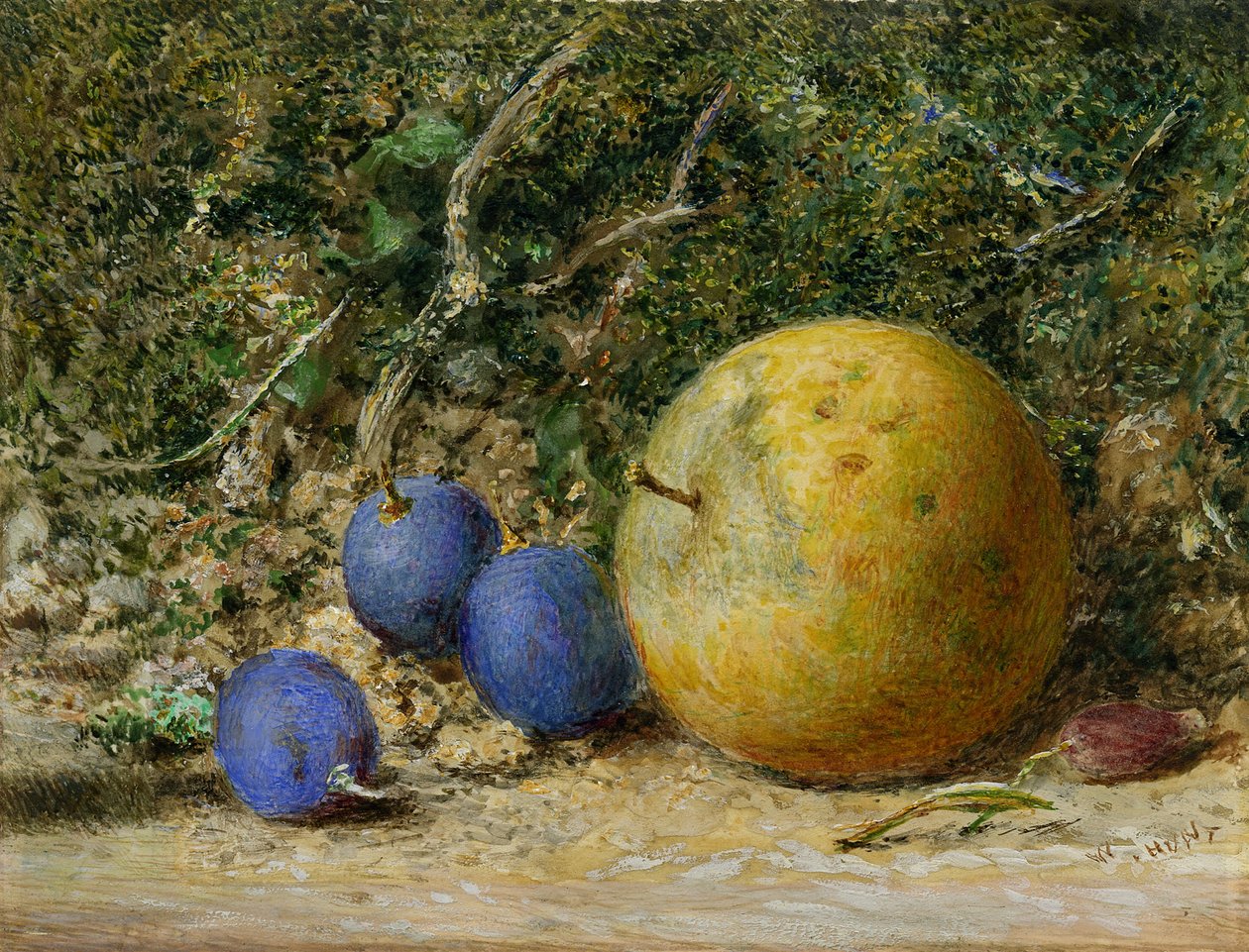 Tre Uve e una Mela da William Henry Hunt