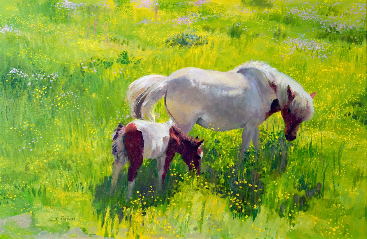 Cavallo pezzato e puledro da William Ireland