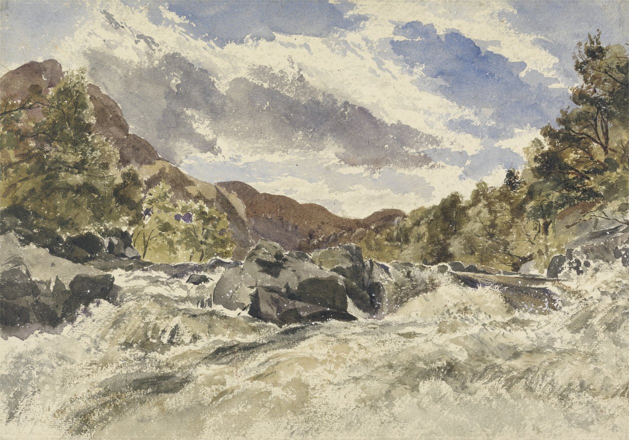 Un torrente di montagna da William James Muller