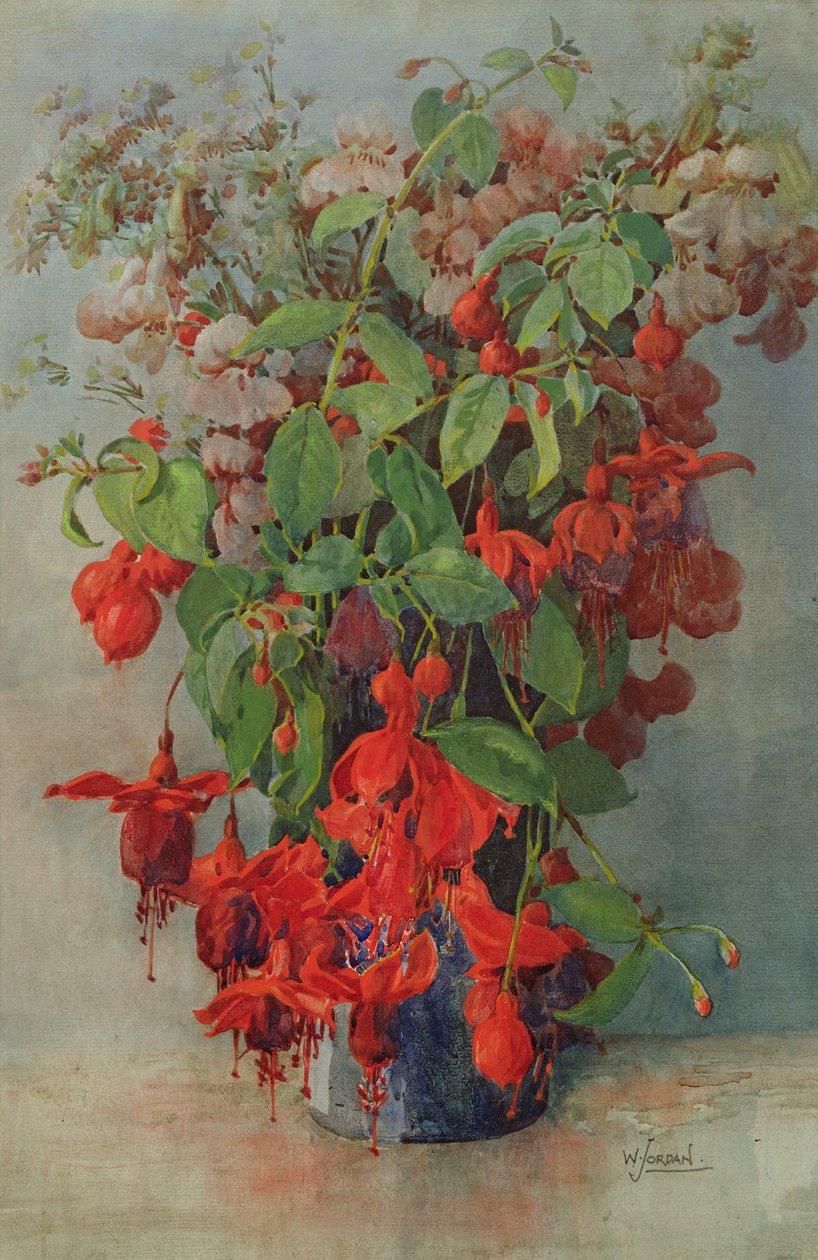 Fucsia e bocca di leone in un vaso da William Jordan