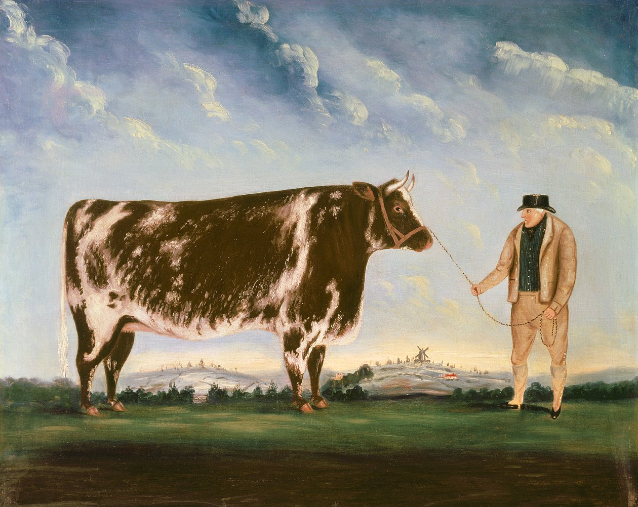 Studio di uno Shorthorn | William Joseph Shayer