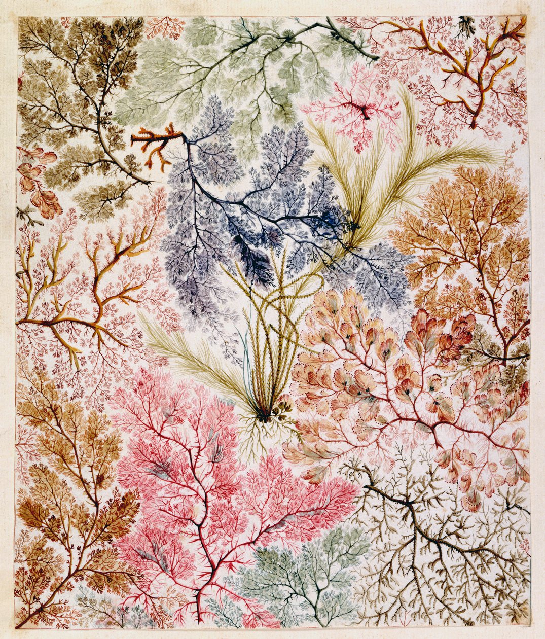Design Tessile, c.1788-92 da William Kilburn
