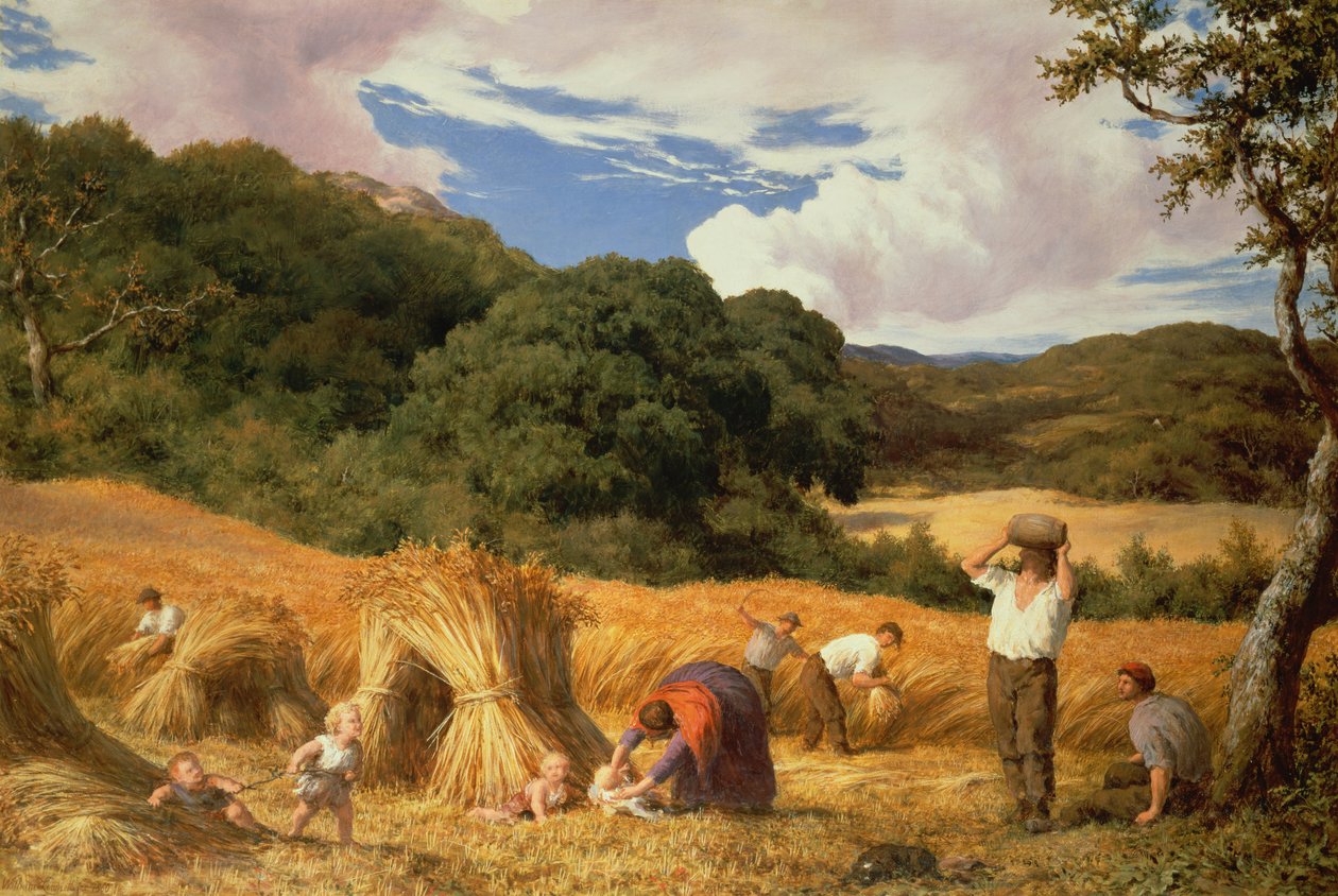 Campo di grano nel Surrey, 1860 da William Linnell