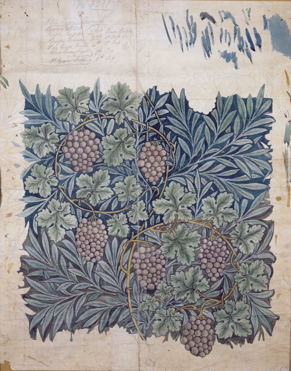 Disegno di foglie e uva per carta da parati 