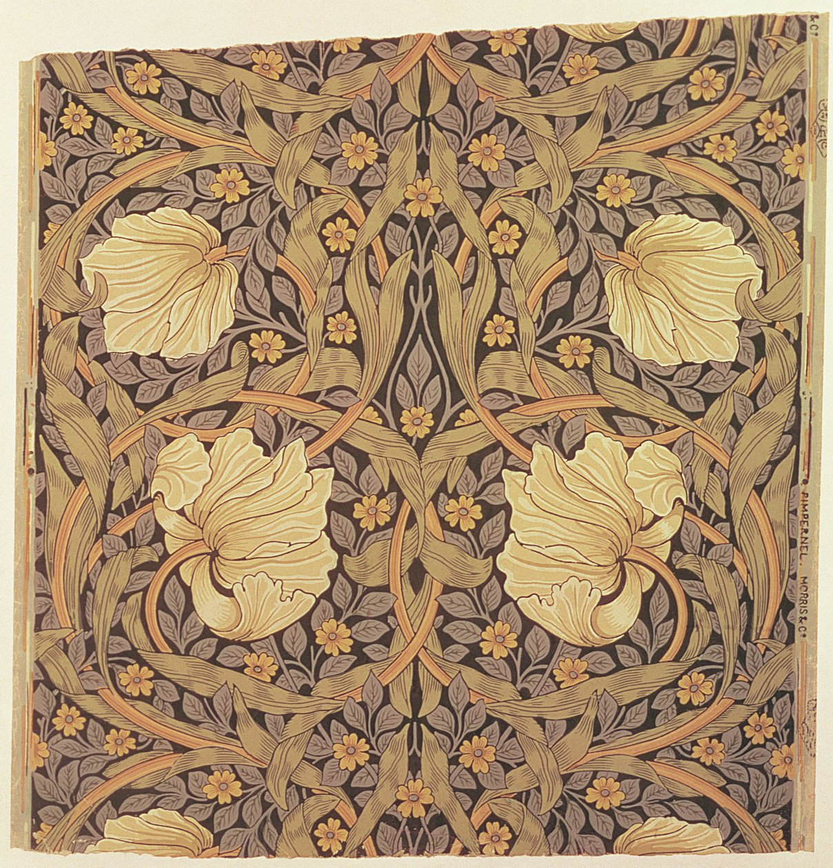 Disegno per carta da parati 