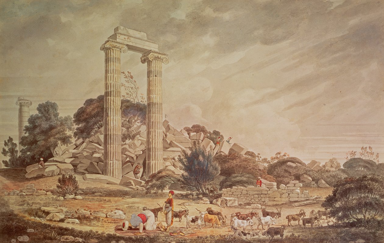 Immagine sconosciuta da William Pars
