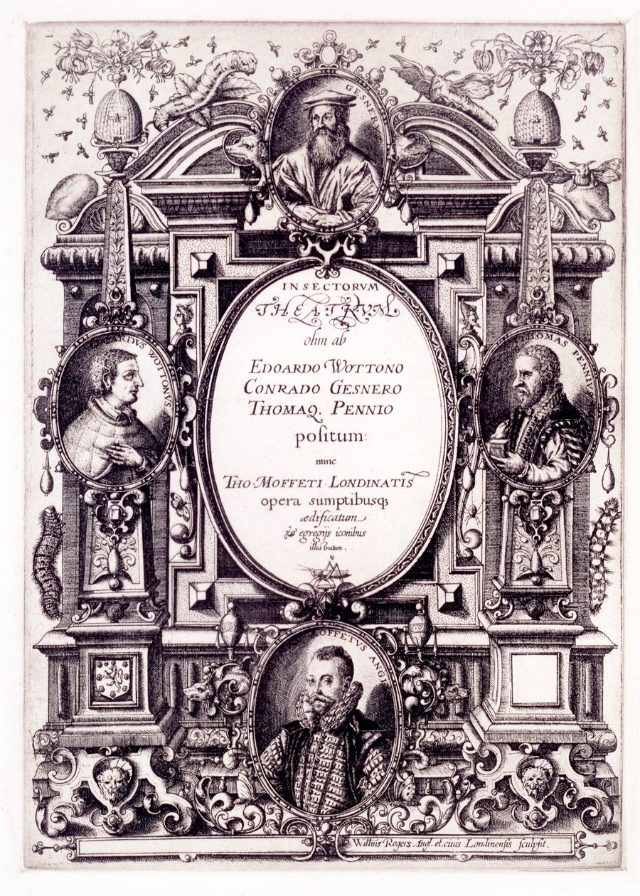 Pagina del Titolo di Moffeti Theatrum Insectorum, fine 1590 da William Rogers