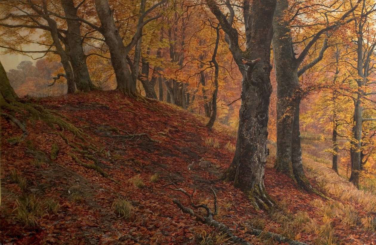 Alla caduta della foglia, Parco di Arundel, Sussex da William Samuel Jay
