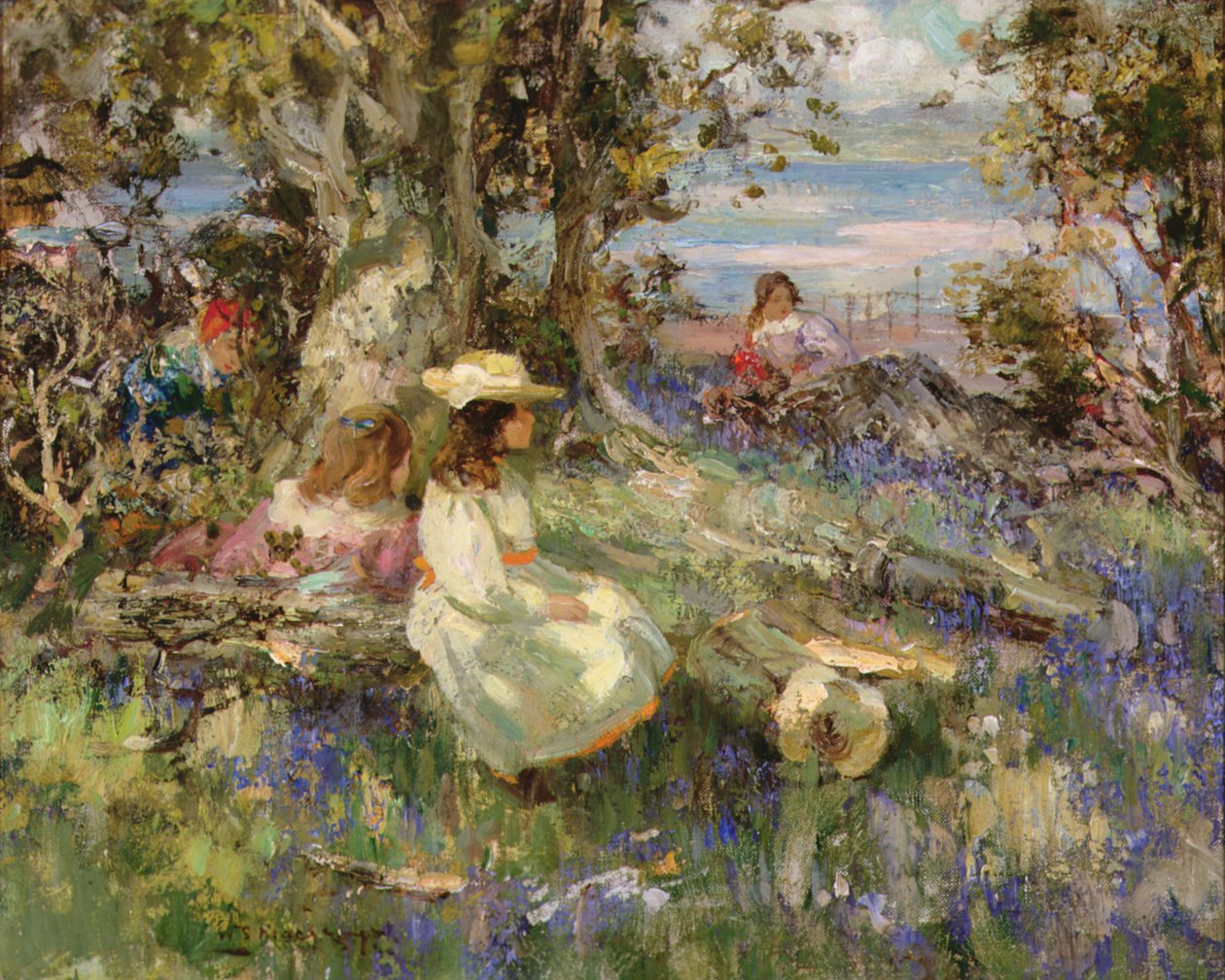 Bosco di campanule vicino al mare, Galloway da William Stewart MacGeorge