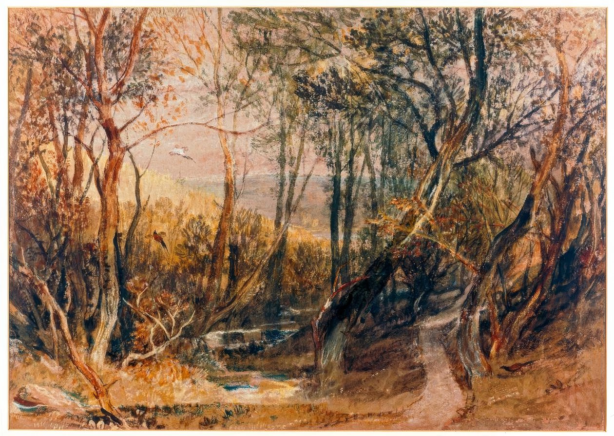 Scena boschiva da Joseph Mallord William Turner