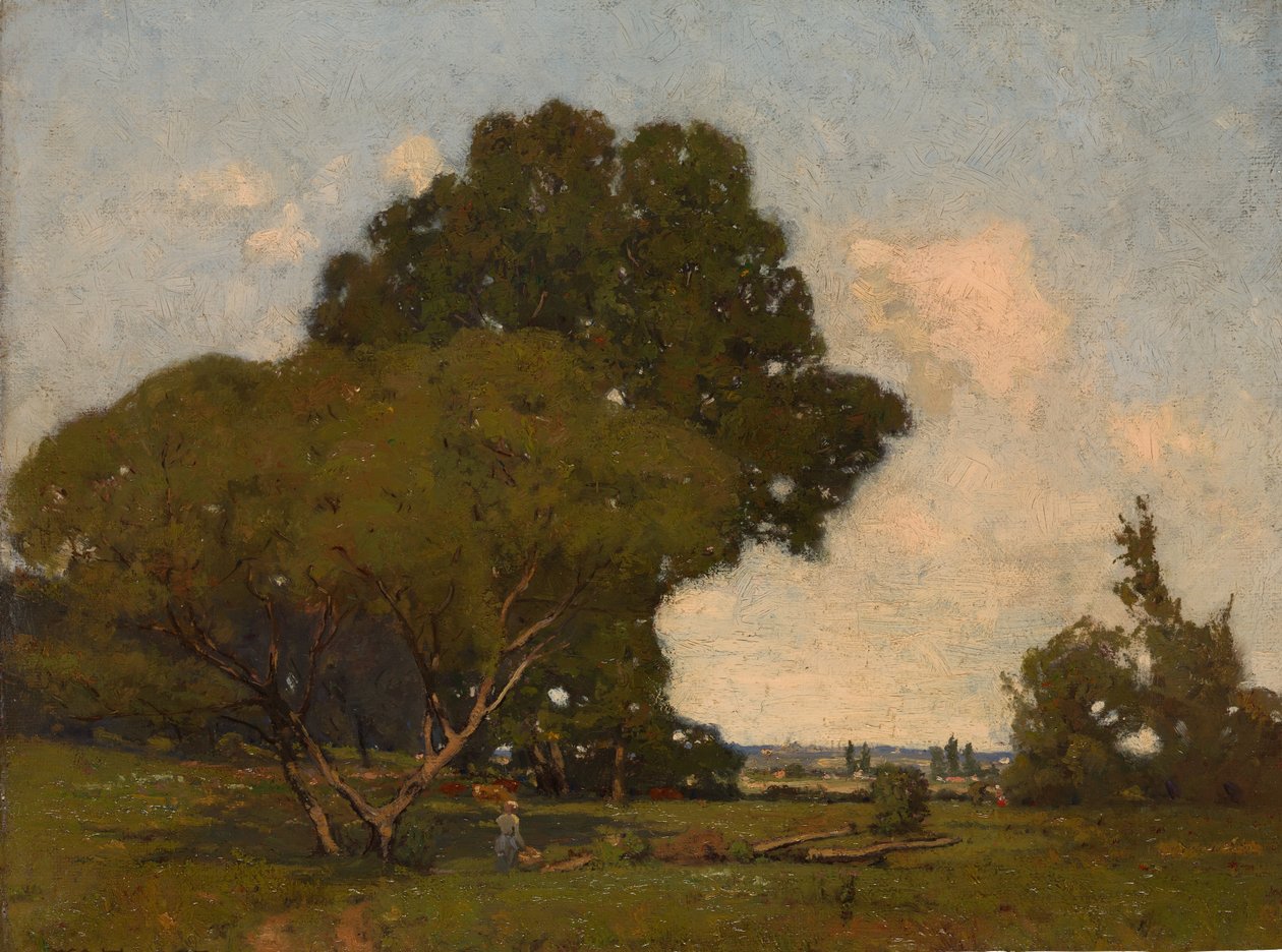 Gli alberi, primo pomeriggio, Francia, ca. 1905 da William A. Harper