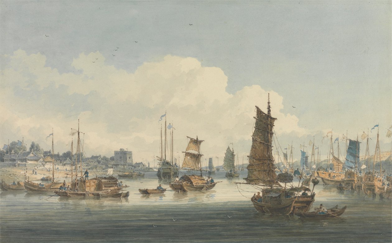 Veduta vicino alla città di Tientsin da William Alexander