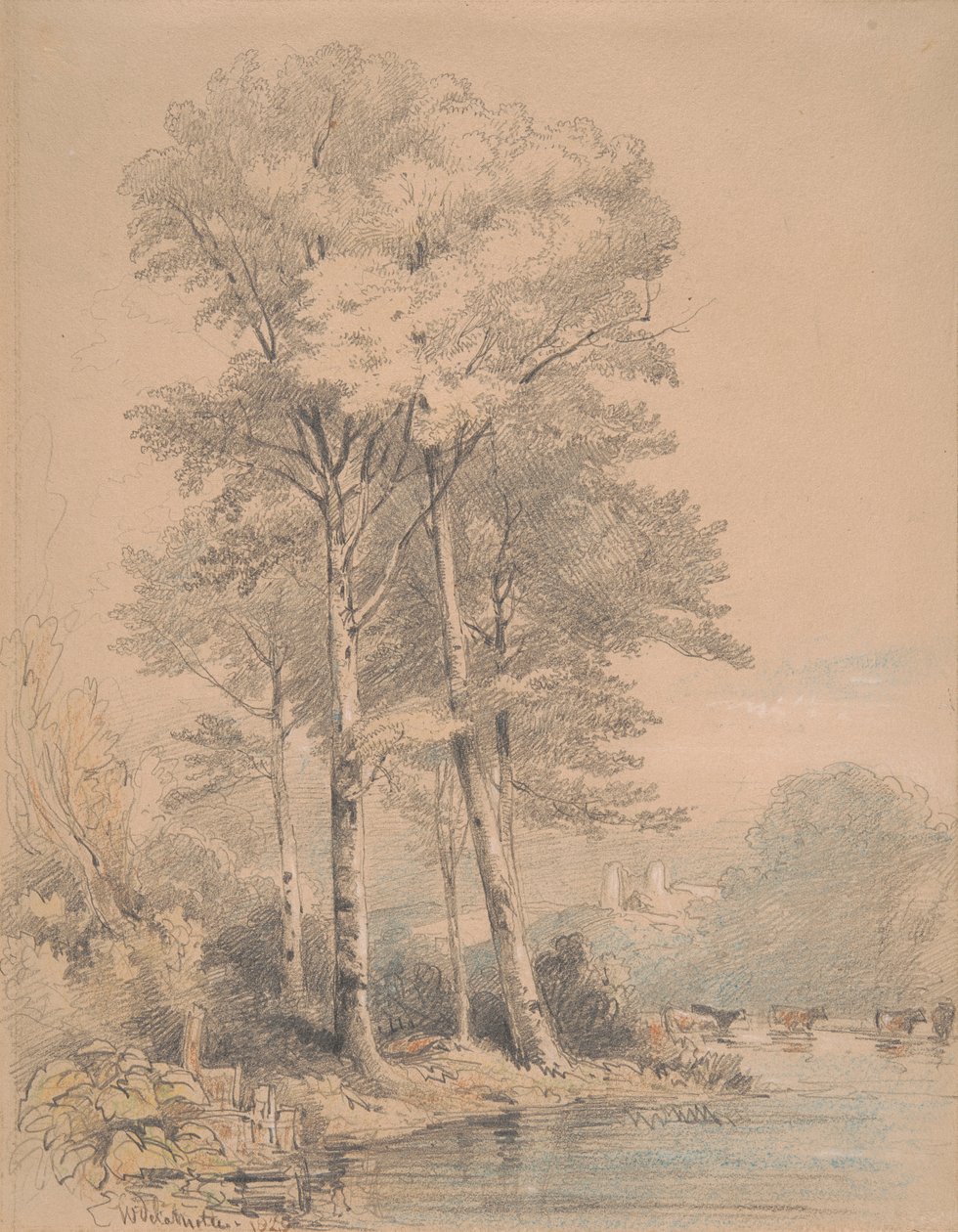 Castello di Llandovery, Galles del Sud da William Alfred Delamotte