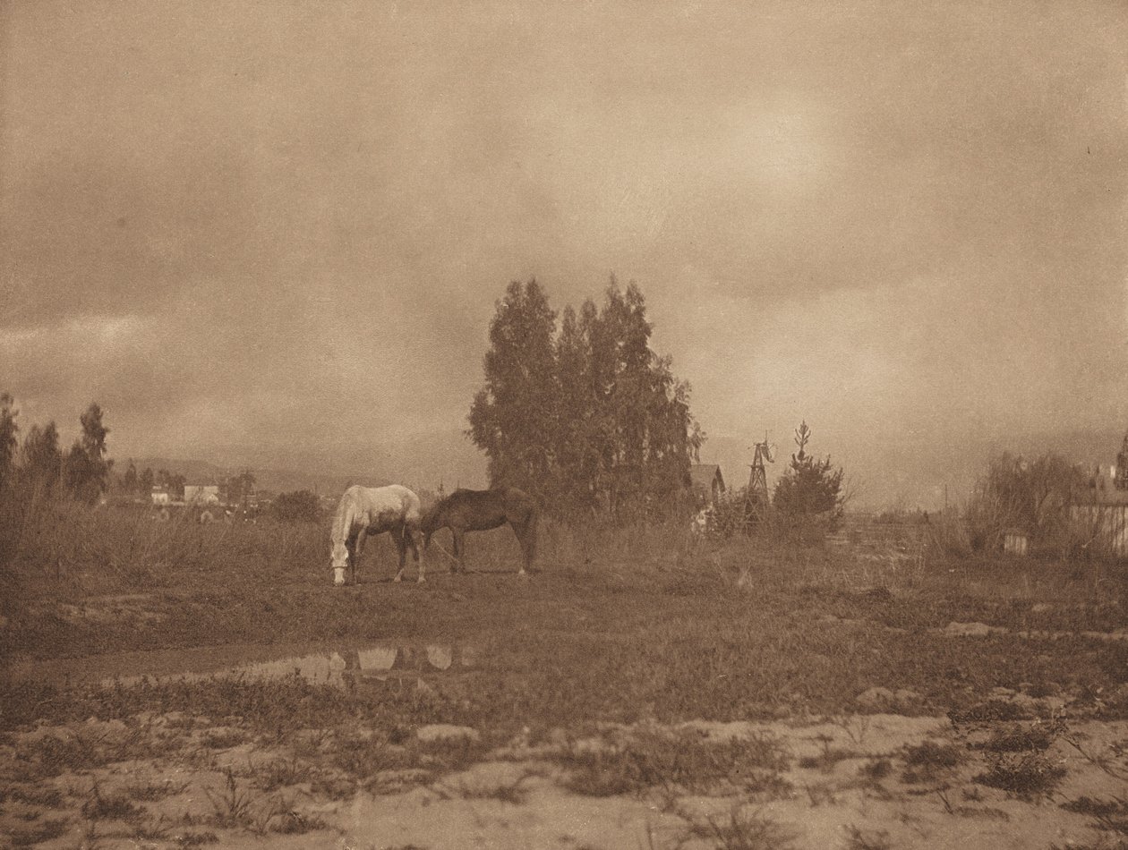 Paesaggio di Pasadena da William B. Post
