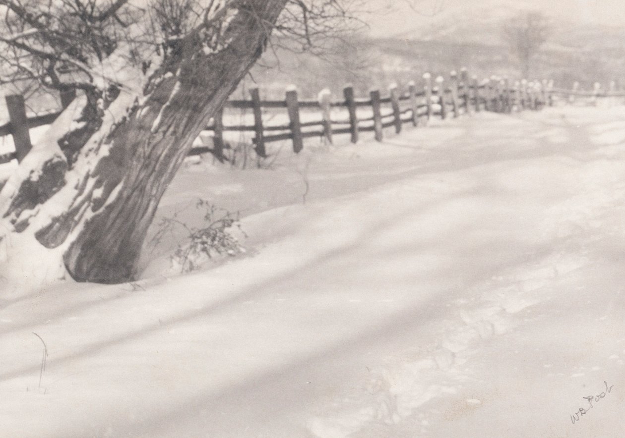 Sentiero nella neve da William B. Post