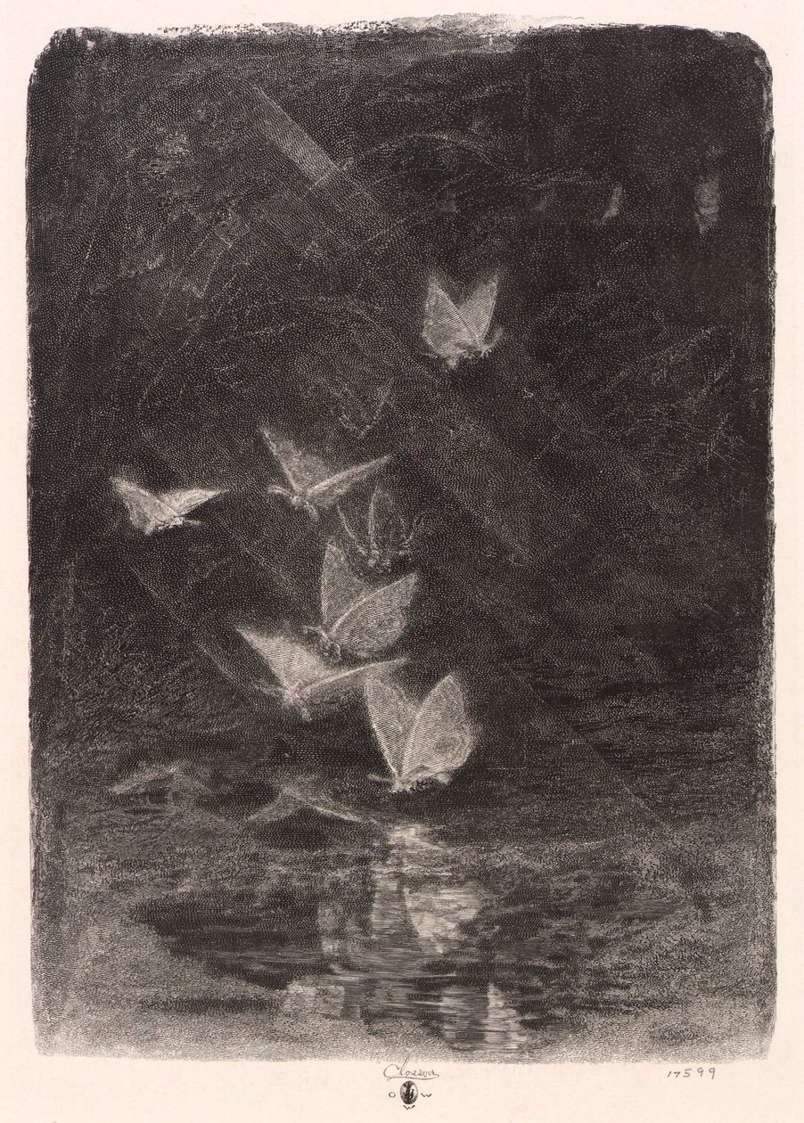 Falene notturne da William Baxter Closson