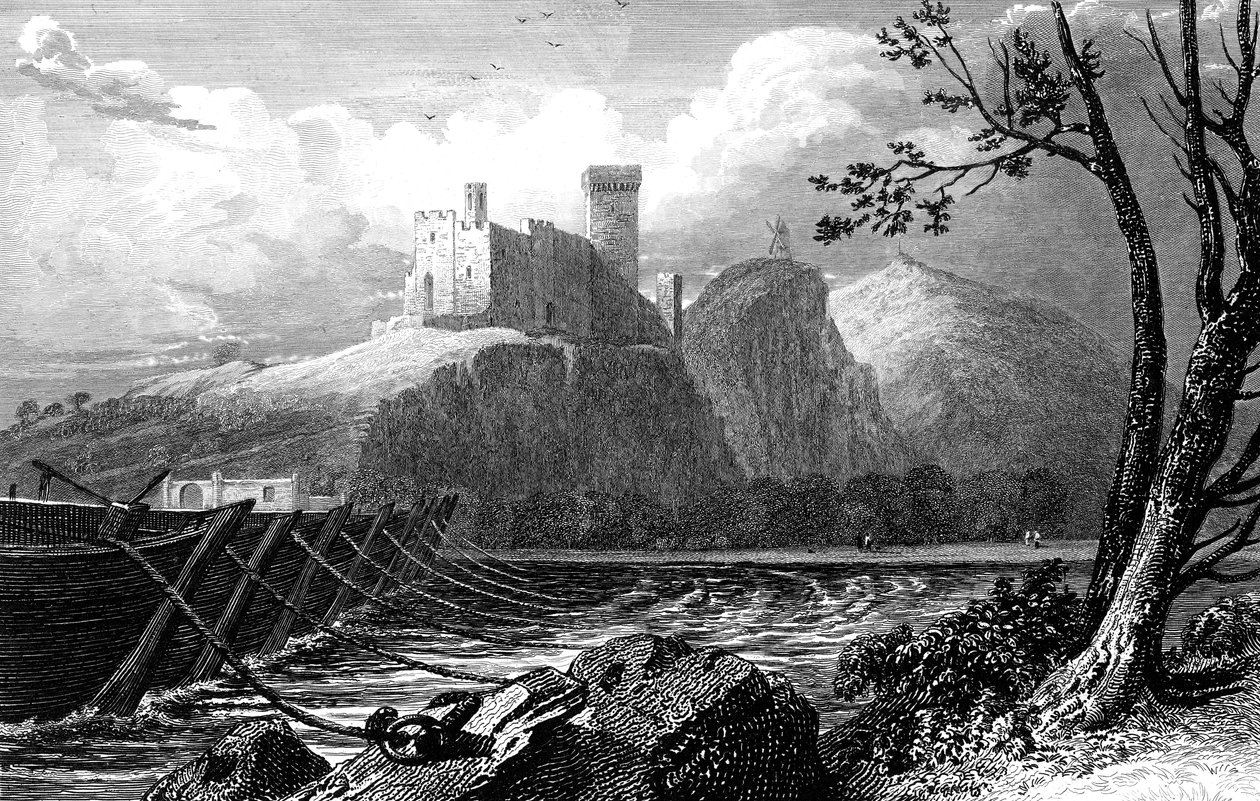 Il Castello di Beaucaire e un ponte di barche sul Rodano, Francia, 1824 da William Bernard Cooke