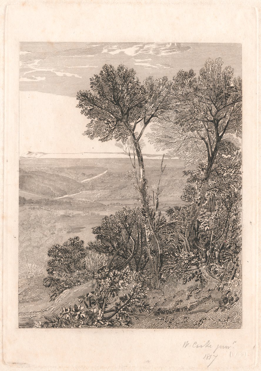 La Valle di Ashburnham, Una Replica della Metà Destra da William Bernard Cooke