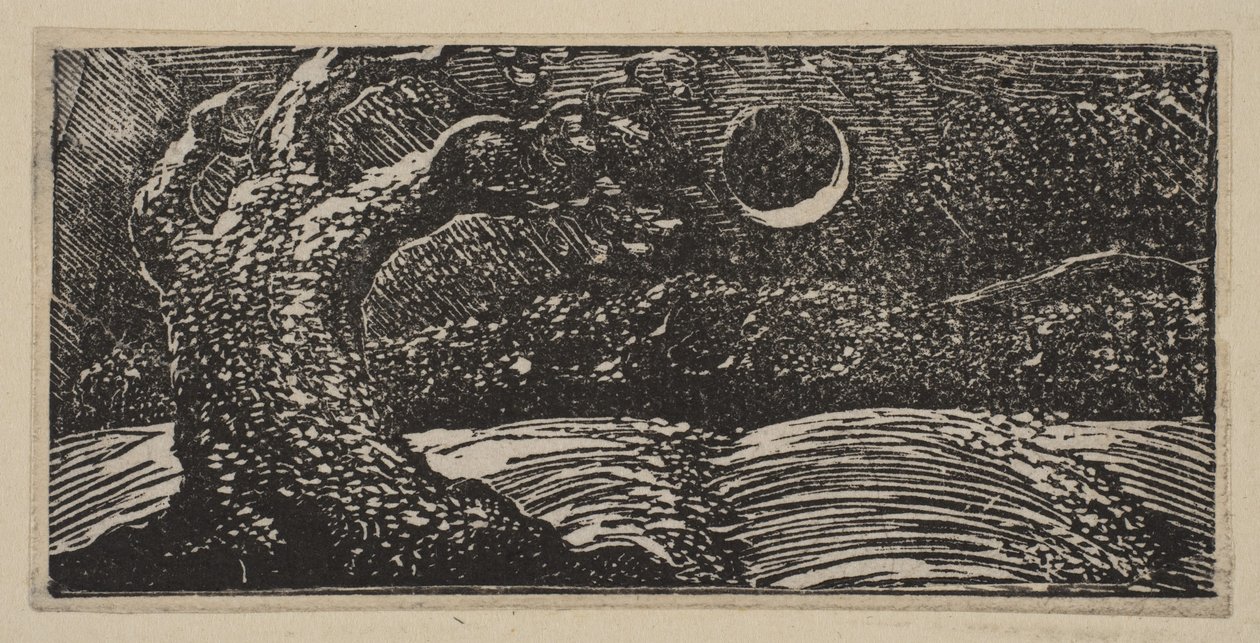 Alberi Devastati e Colture Appiattite, da Le Pastorali di Virgilio di Thornton, 1821 da William Blake